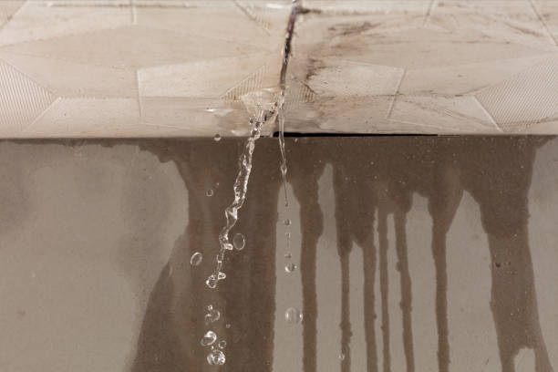 Professional Water Damage Repair technician working in Ho-Ho-Kus, NJ